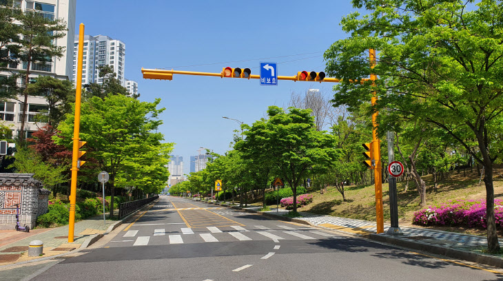 학교앞 노란신호등 설치 전경