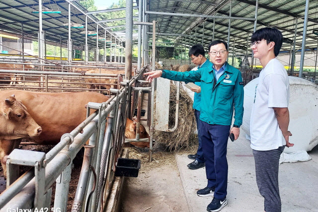 함양군 축산분야 폭염 대응 및 피해 최소화 집중