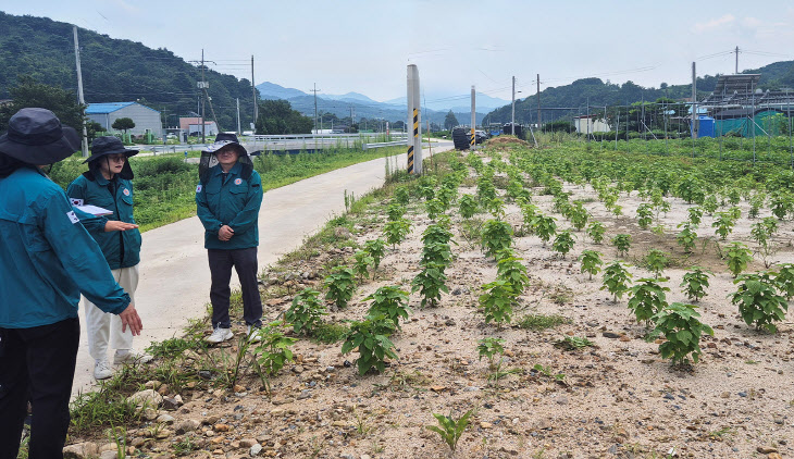 충북농기원, 집중호우 대비 과수화상병 매몰지 점검