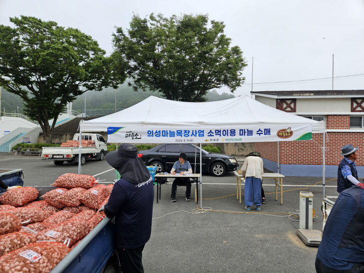 02의성군제공 의성 마늘 수매