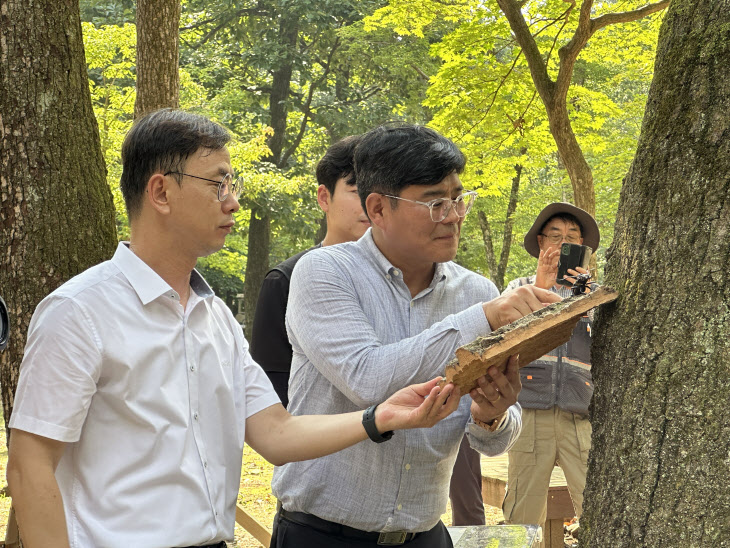 국립수목원, 장수하늘소 인공사육 10주년 복원 행사 열어