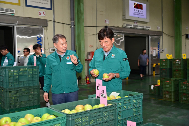 , 2024년산 사과 경매 시작) (1)