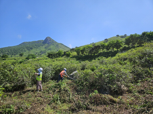 산청 황매산 정비사업