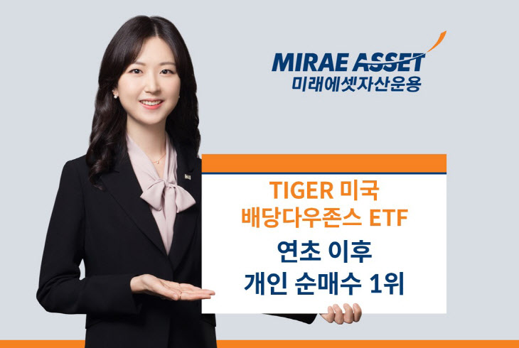 TIGER 미국배당다우존스 ETF 연초 이후 개인 순매수 1위