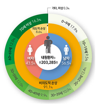 응급실에 내원한 손상환자의 규모 및 현황(2023년)