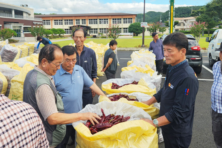 240905보도자료(청송군, 2024년산 건고추 수매 실시) (1)