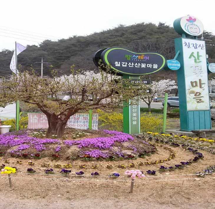 청양에서 살이보기 프로그램 운영(산꽃마을)