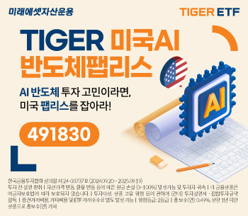 TIGER 미국AI반도체팹리스_사진2