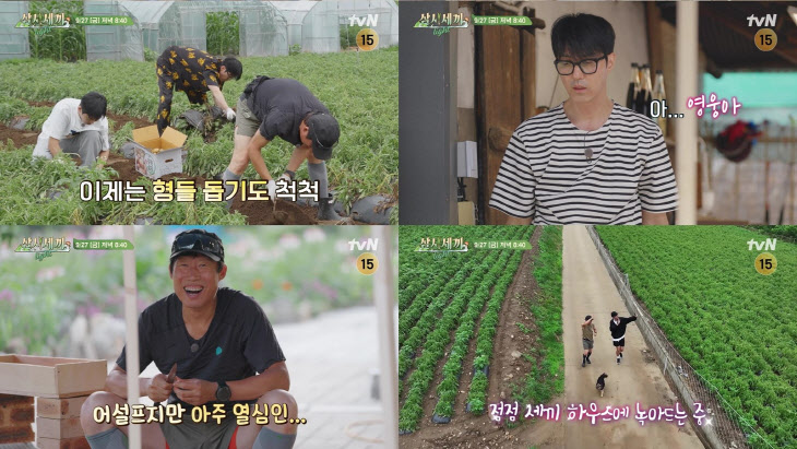 240927 tvN [삼시세끼 Light] 임영웅, '삼시세끼'