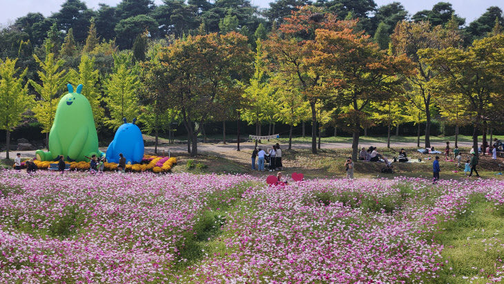 야생화단지 전경