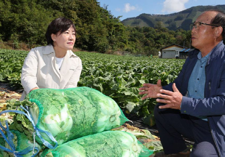 충북 단양군 배추농가 찾은 송미령 농식품부 장관